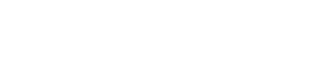 BizResearch
