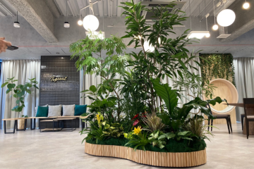 観葉植物で空間ブランディング！法人提案ビジネス始めませんか？