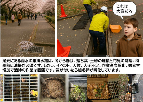 雨水の集排水路の現状
