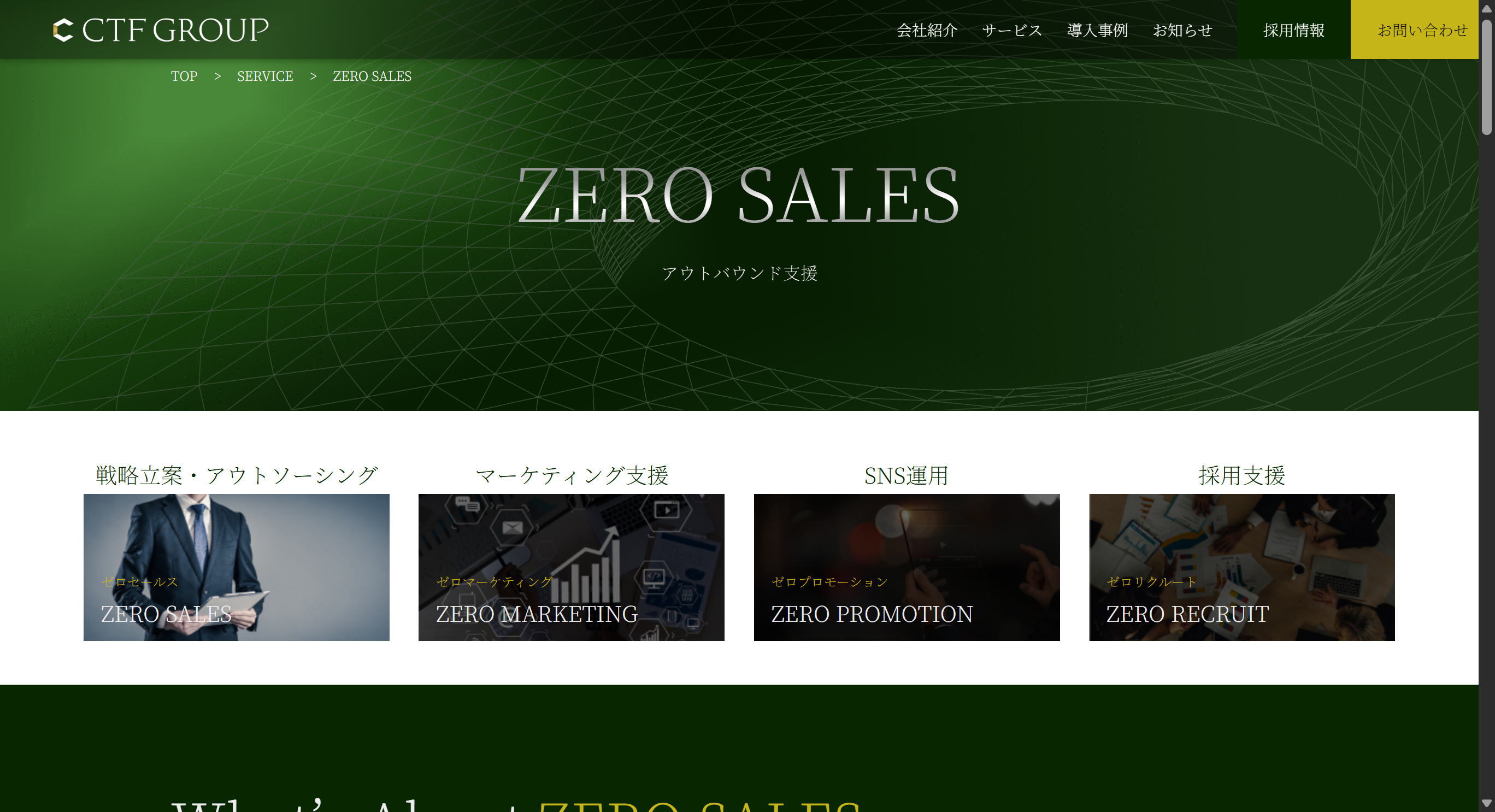CTF GROUP / ZERO SALES