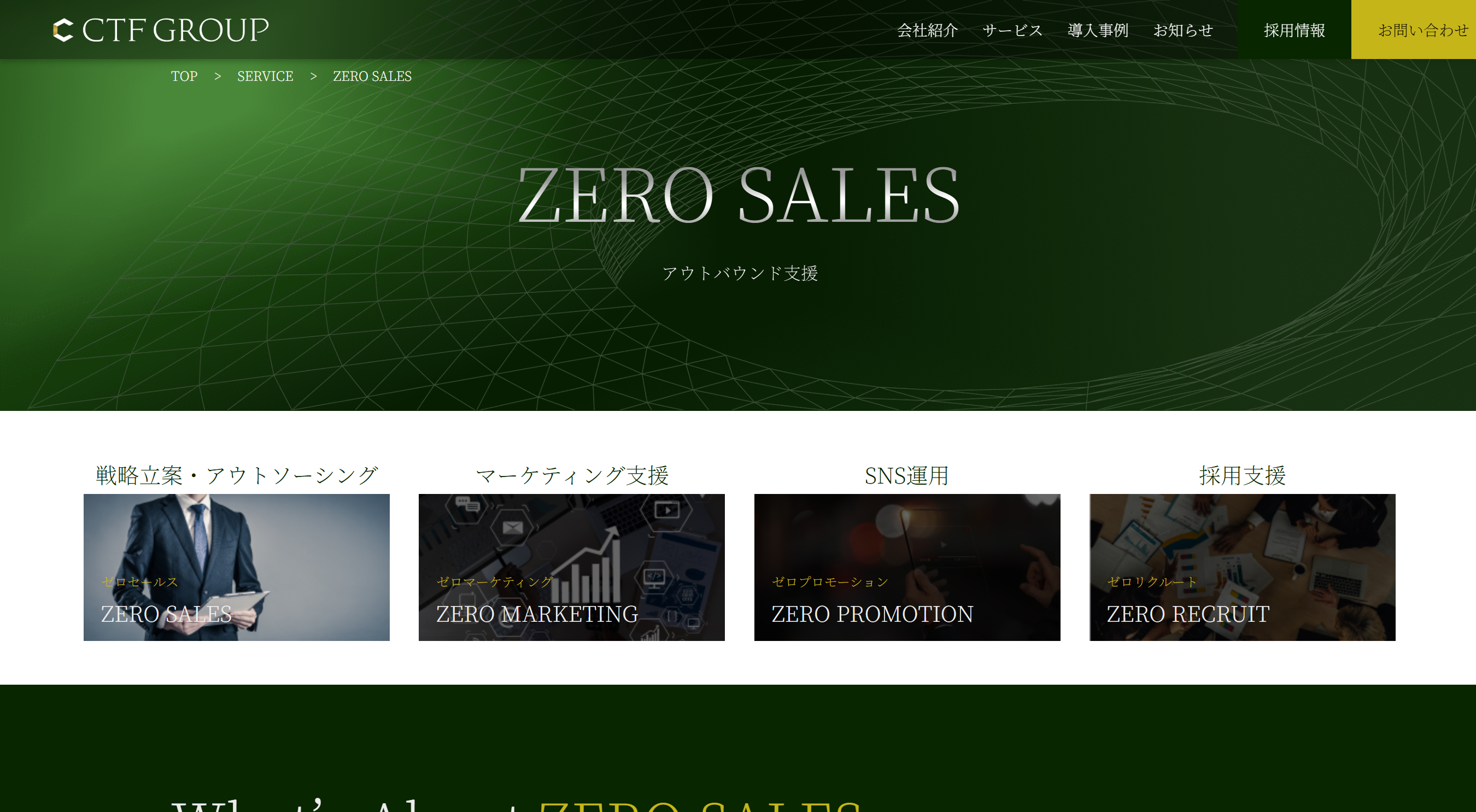 CTF GROUP / ZERO SALES