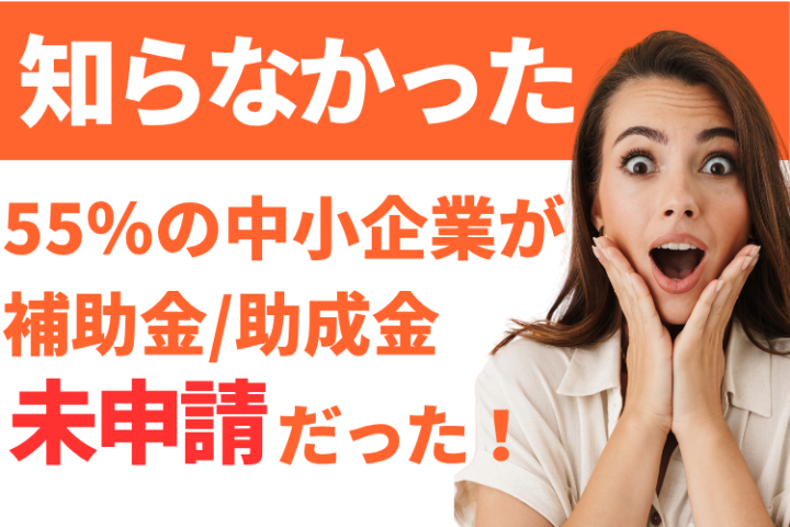 公的支援で法人開拓!助成金・補助金申請サポートの代理店募集のメイン画像