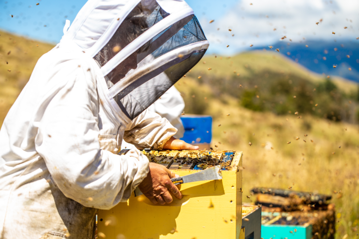 物販経験を活かせる収益モデル!